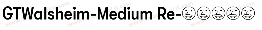 GTWalsheim-Medium Re字体转换